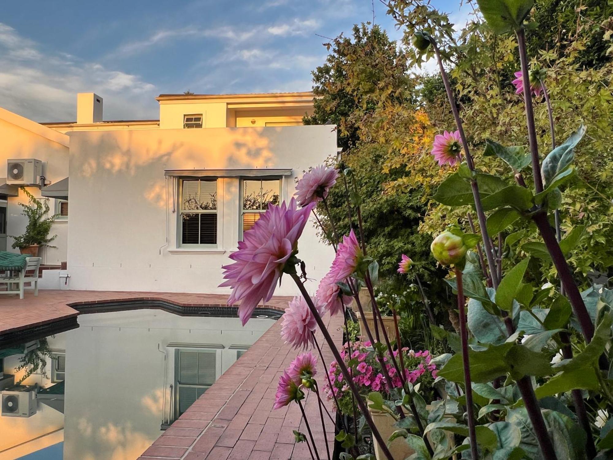 Penelope'S Stellenbosch Bed & Breakfast Exterior photo